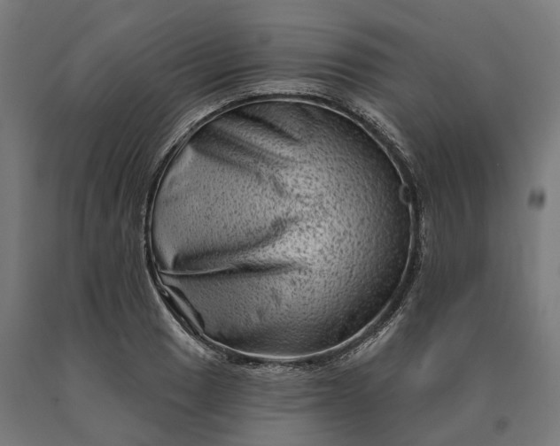 X0000090611033200707311218