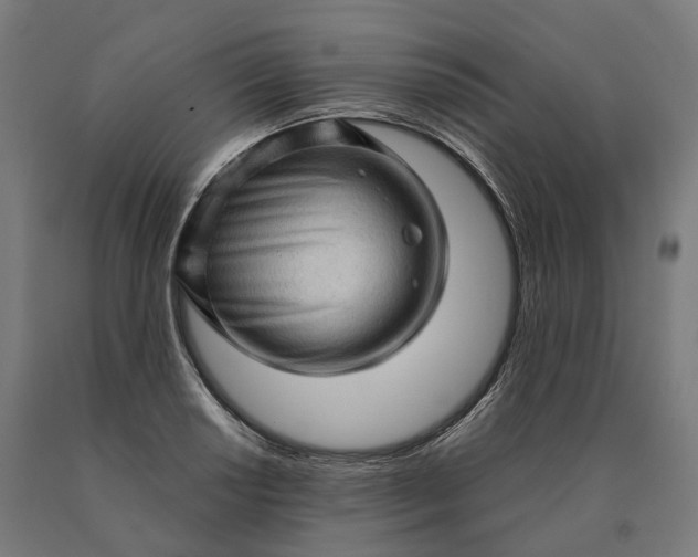 X0000090611034200707311218