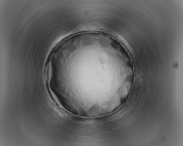 X0000090611035200707311218