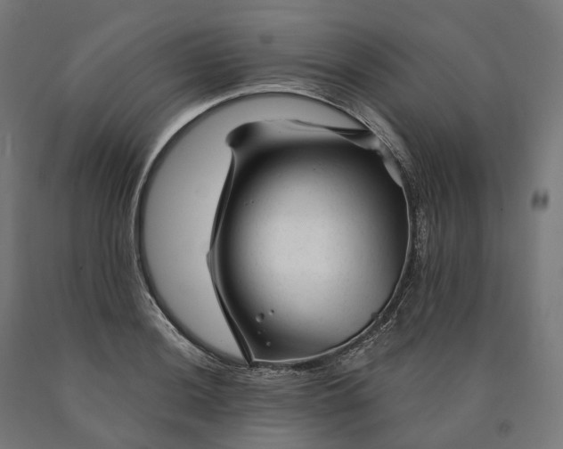 X0000090611036200707311218