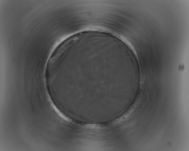 X0000090611037200707311218