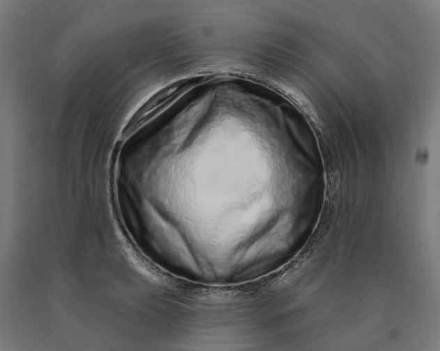 X0000090611039200707311218