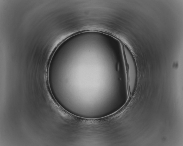 X0000090611040200707311218