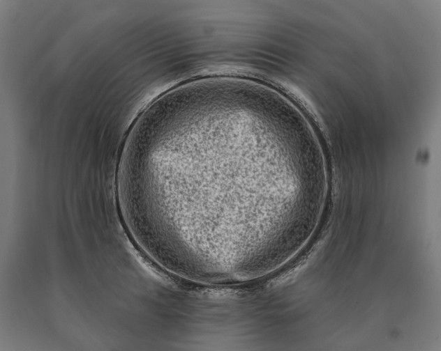 X0000090611041200707311218