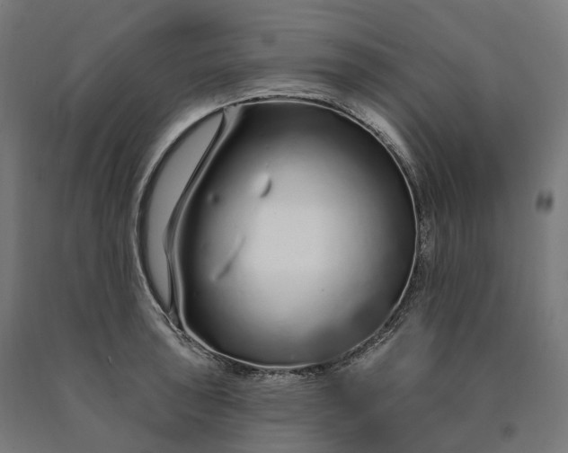 X0000090611043200707311218