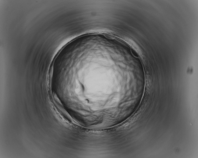 X0000090611044200707311218