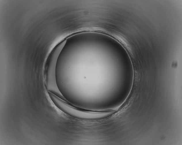 X0000090611046200707311218