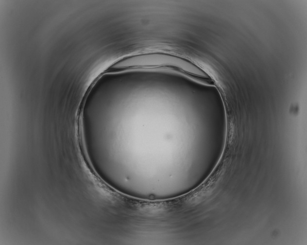 X0000090611047200707311218