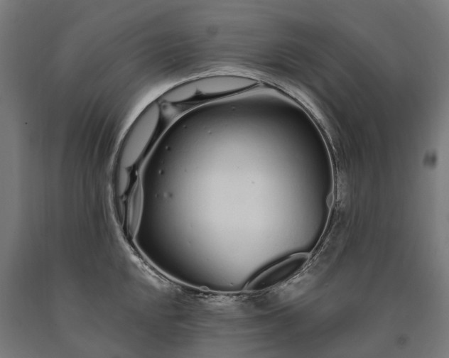 X0000090611048200707311218