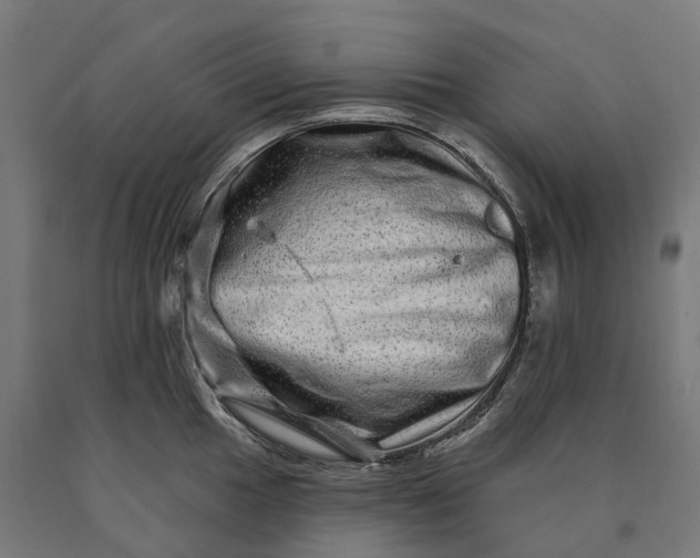 X0000090611049200707311218