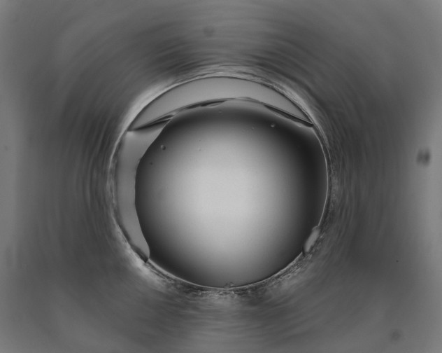 X0000090611050200707311218