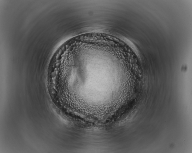 X0000090611051200707311218