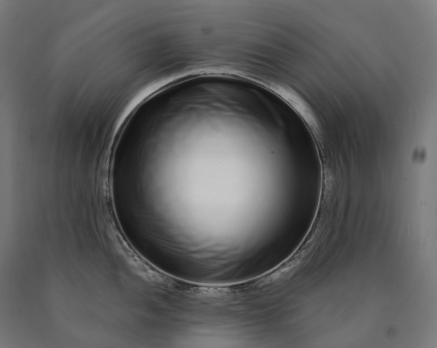 X0000090611052200707311218