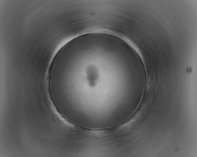 X0000090611053200707311218