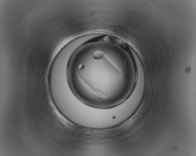 X0000090611054200707311218