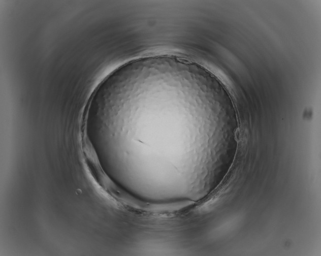 X0000090611055200707311218