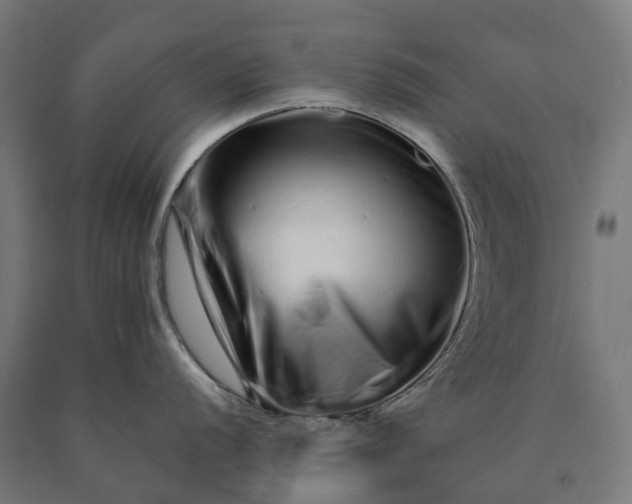 X0000090611056200707311218