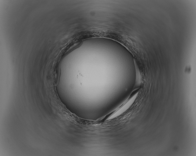 X0000090611057200707311218