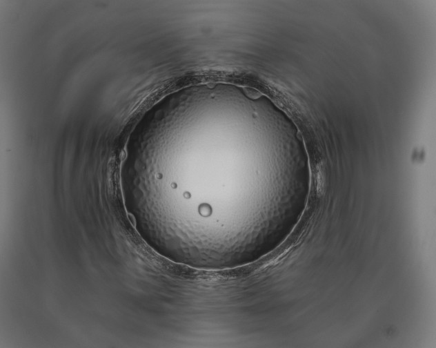 X0000090611059200707311218