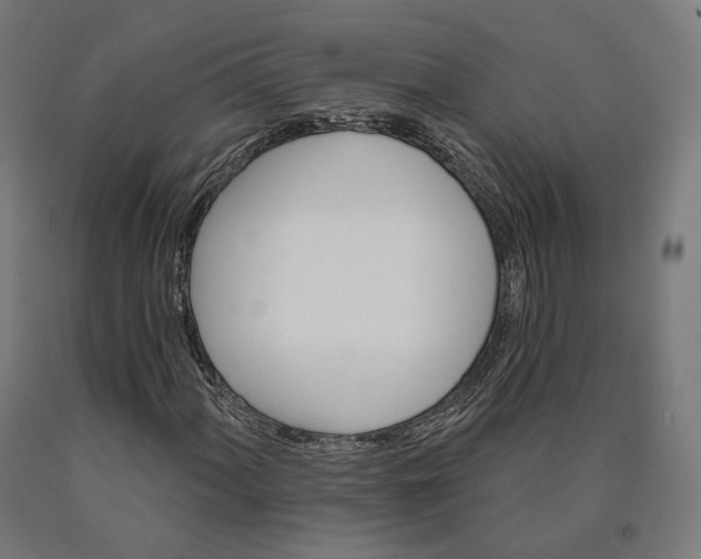 X0000090611060200707311218