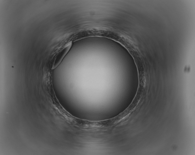 X0000090611061200707311218