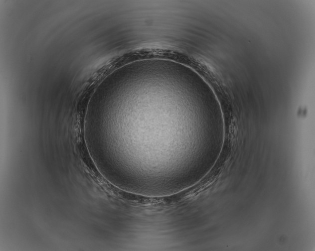 X0000090611062200707311218