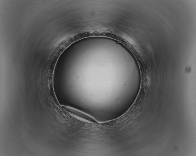 X0000090611063200707311218