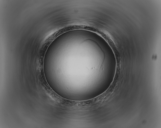 X0000090611064200707311218