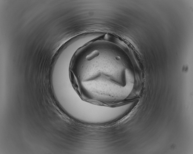 X0000090611065200707311218