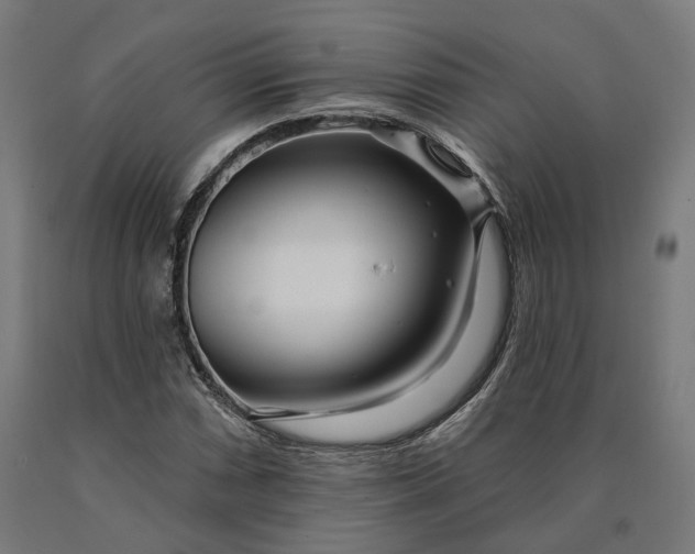 X0000090611066200707311218