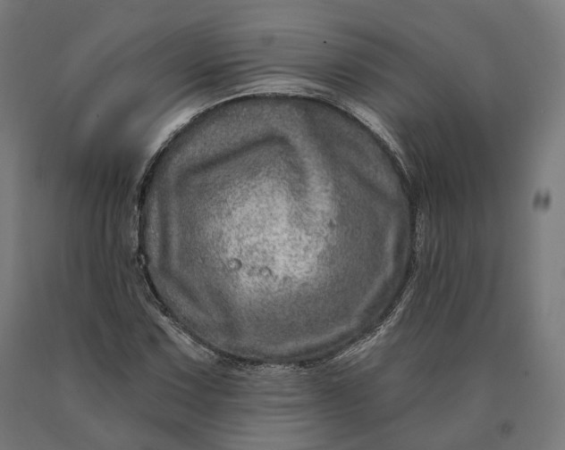 X0000090611067200707311218