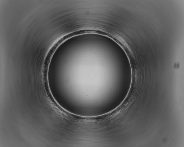 X0000090611068200707311218