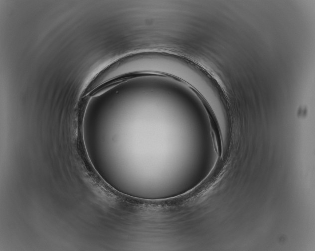 X0000090611069200707311218