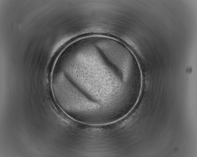 X0000090611070200707311218