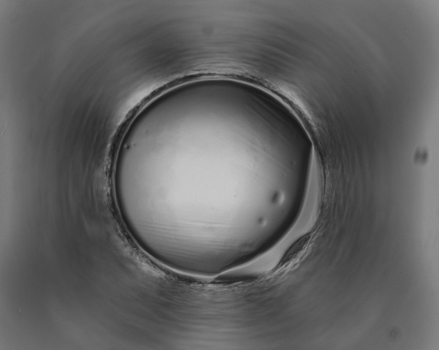 X0000090611071200707311217