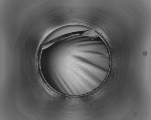 X0000090611072200707311217