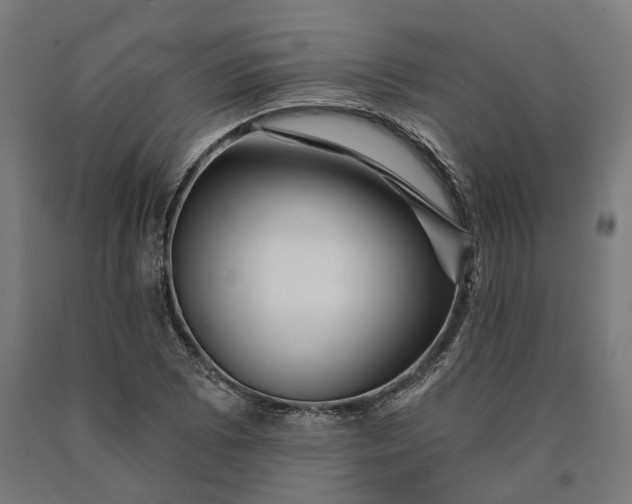 X0000090611073200707311217