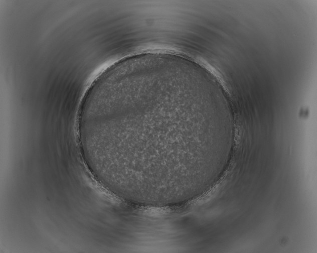 X0000090611074200707311217