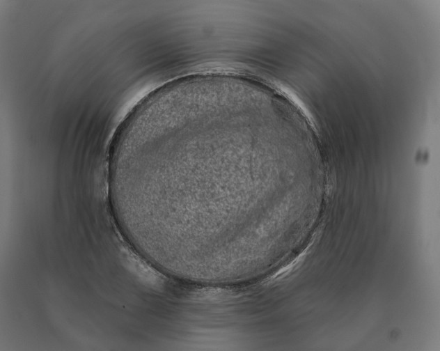 X0000090611075200707311217