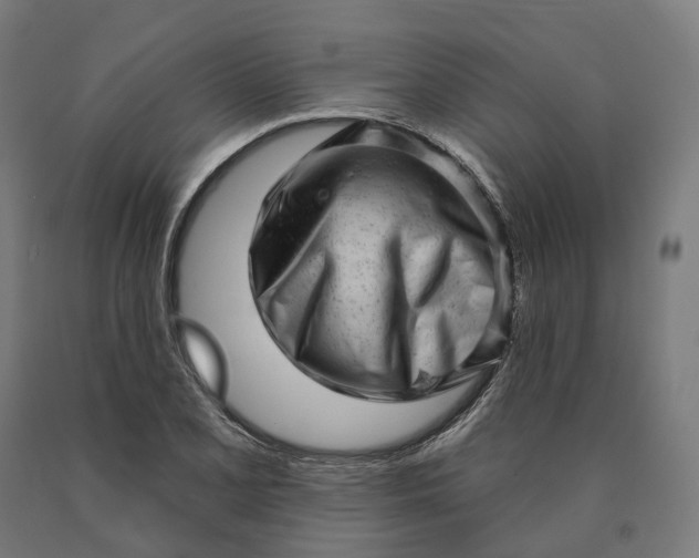 X0000090611077200707311217