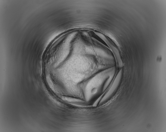 X0000090611079200707311217