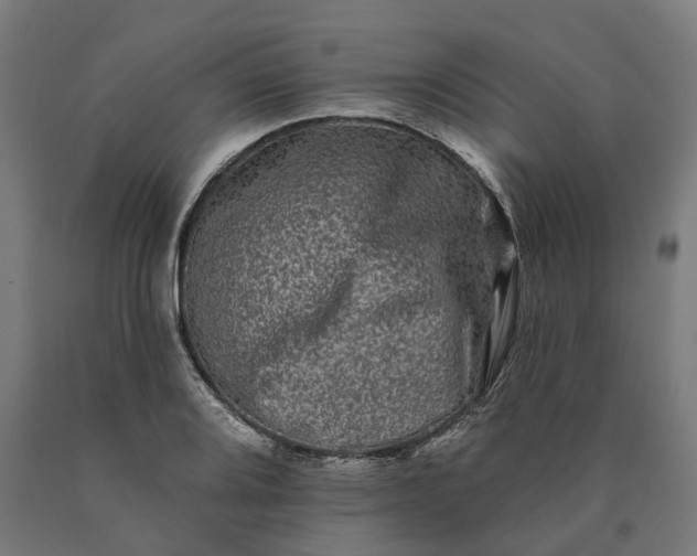 X0000090611080200707311217