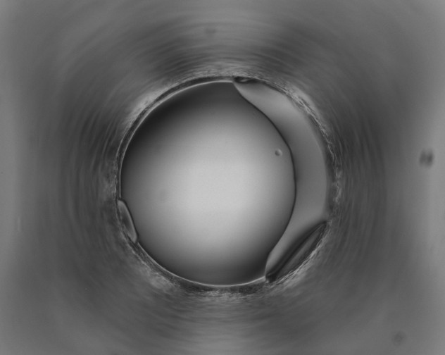 X0000090611081200707311217