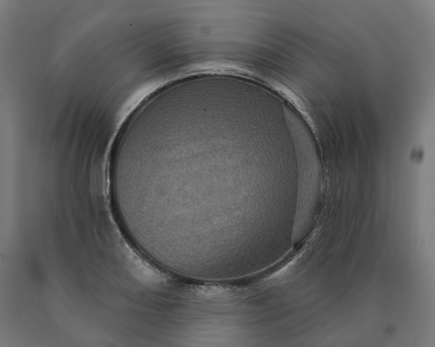 X0000090611082200707311217