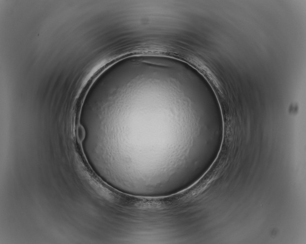 X0000090611083200707311217