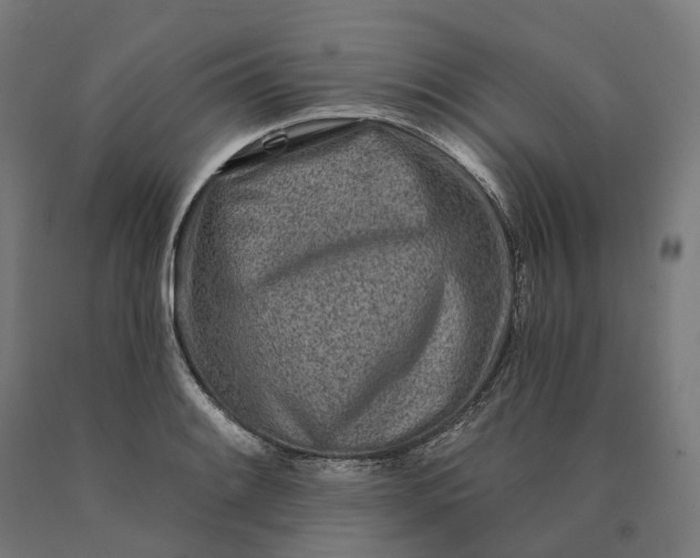 X0000090611084200707311217