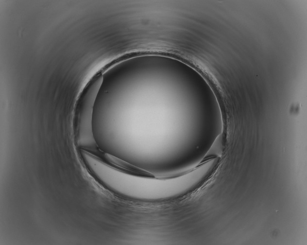 X0000090611085200707311217