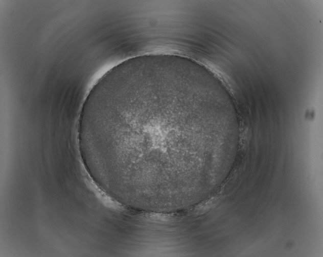 X0000090611086200707311217