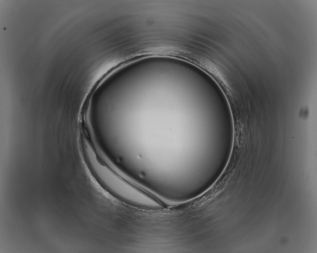 X0000090611087200707311217