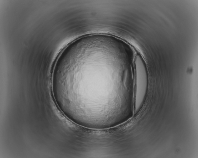 X0000090611088200707311217